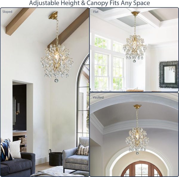 Contemporary Modern Chandelier Light Fixture with Elegance any spaces