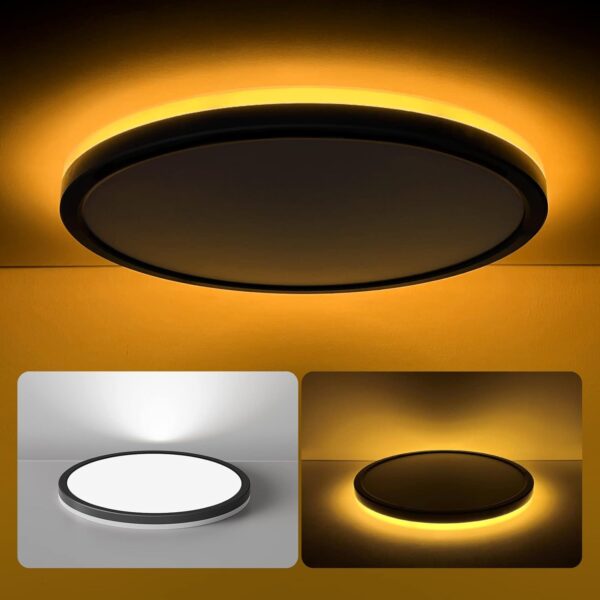 LED Dimmable Ceiling Light Perfect for any Space