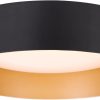 Matte Black Dimmable Ceiling Lighting Fixture