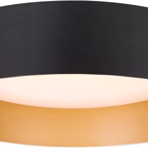 Matte Black Dimmable Ceiling Lighting Fixture