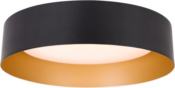 Matte Black Dimmable Ceiling Lighting Fixture