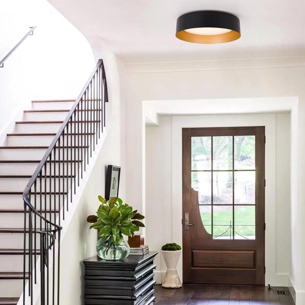 Matte Black Dimmable Ceiling Lighting Fixture hallway