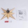 Modern Brass Star Ceiling Light Fixture package